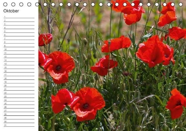 Produktbild: Ich denk an Dich ... Pers&ouml;nlicher Terminkalender (Tischkalender immerw&auml;hrend DIN A5 quer)