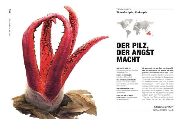 Produktbild: Kuriose Pflanzen