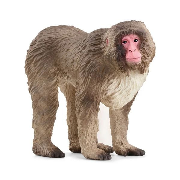 Produktbild: schleich&reg; 14871 Japanmakak