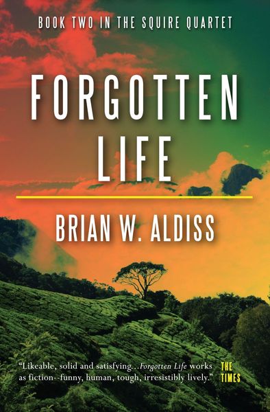 Produktbild: Forgotten Life
