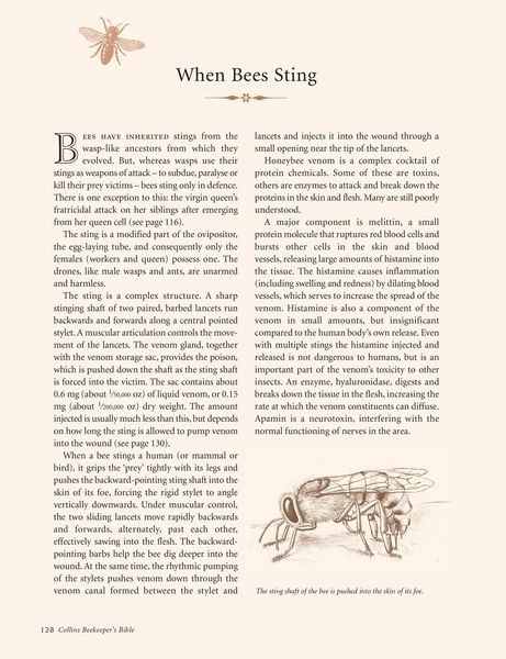 Produktbild: Collins Beekeeper's Bible
