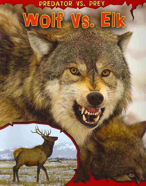 Produktbild: Wolf Vs Elk