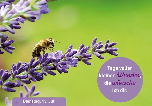Produktbild: Meine W&uuml;nsche f&uuml;r Dich 2027