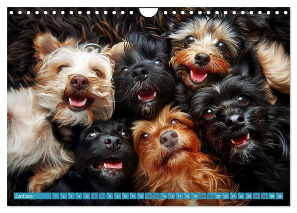 Produktbild: L&auml;chelnde Hunde sind wie Sonnenschein auf vier Pfoten (Wandkalender 2026 DIN A4 quer), CALVENDO Monatskalender
