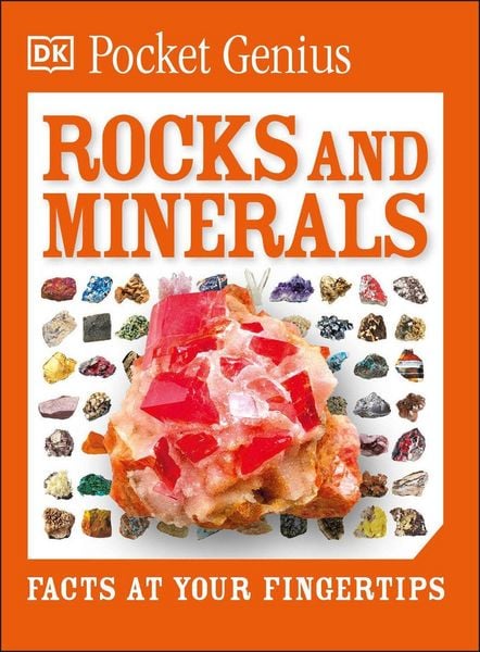 Produktbild: Pocket Genius Rocks and Minerals