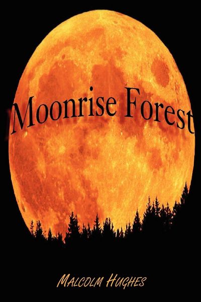 Produktbild: Moonrise Forest