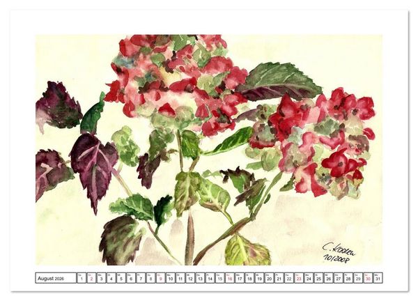 Produktbild: Der AQUARELL-Kalender (Wandkalender 2026 DIN A3 quer), CALVENDO Monatskalender