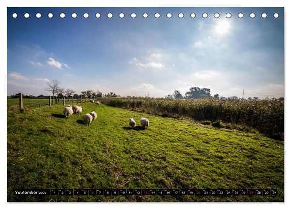 Produktbild: Sch&ouml;nes Ostfriesland (Tischkalender 2026 DIN A5 quer), CALVENDO Monatskalender