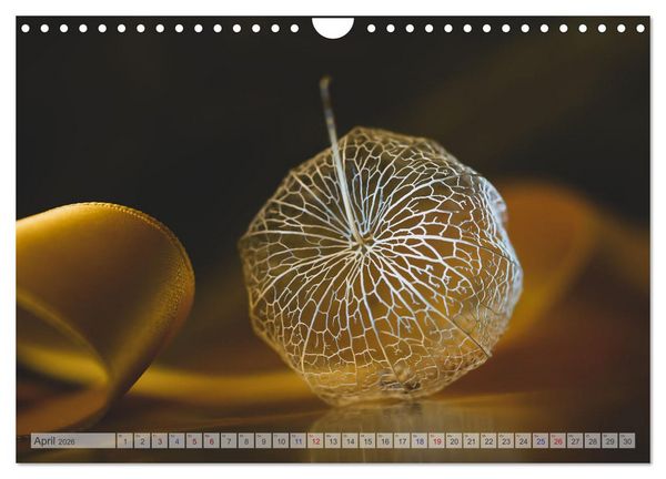 Produktbild: Kunstvolle Physalis-Kleine Frucht von gro&szlig;er Faszination (Wandkalender 2026 DIN A4 quer), CALVENDO Monatskalender