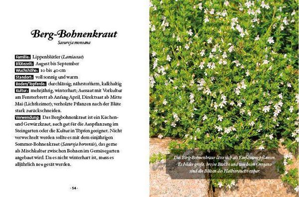 Produktbild: Das kleine Buch: Mein Garten für Bienen & Schmetterlinge