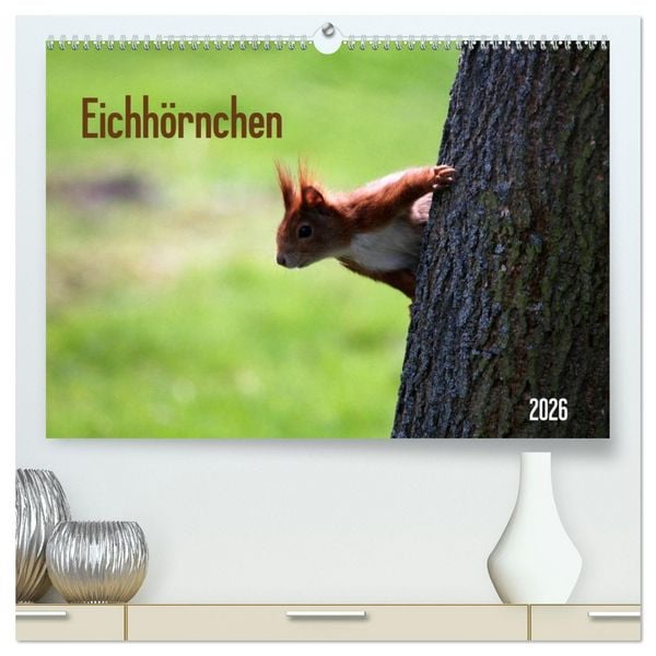 Produktbild: Eichh&ouml;rnchen (hochwertiger Premium Wandkalender 2026 DIN A2 quer), Kunstdruck in Hochglanz