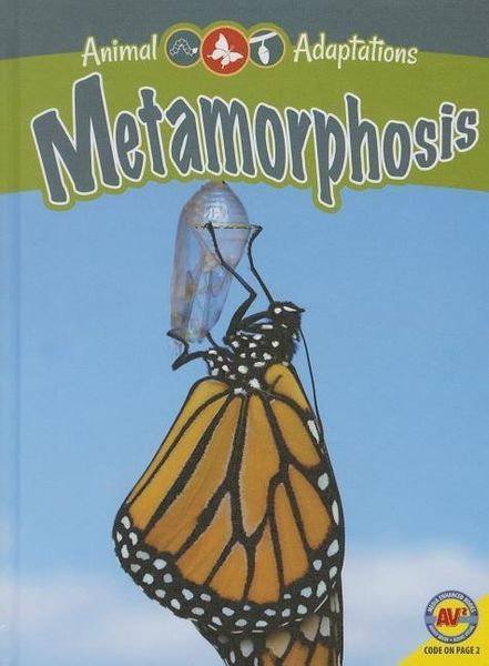 Produktbild: Metamorphosis