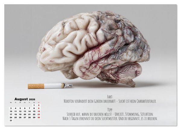 Produktbild: Nichtraucher Kalender - Rauchfrei werden mit Fakten und Tipps f&uuml;r Raucher (hochwertiger Premium Wandkalender 2026 DIN A2 quer), Kunstdruck in Hochglanz