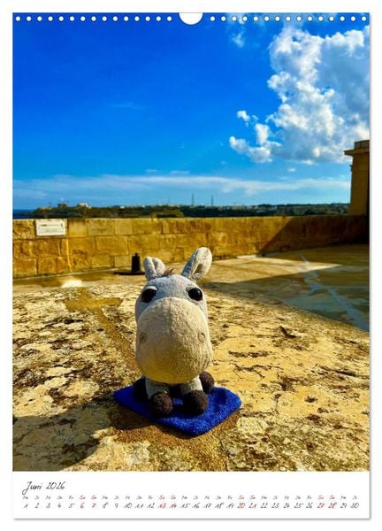 Produktbild: Schorschi auf Reisen ein kleiner Esel unterwegs auf der Insel Malta (Wandkalender 2026 DIN A3 hoch), CALVENDO Monatskalender