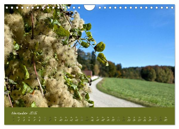 Produktbild: Spaziergang um das Kloster St. Ottilien (Wandkalender 2026 DIN A4 quer), CALVENDO Monatskalender
