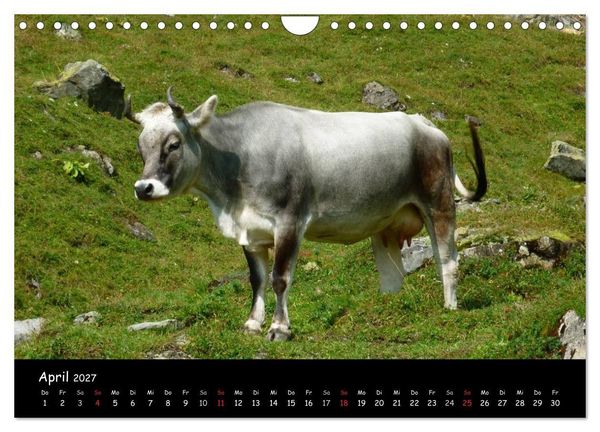 Produktbild: Alpenwelten (Wandkalender 2027 DIN A4 quer), CALVENDO Monatskalender