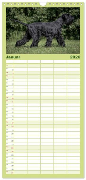 Produktbild: Familienplaner 2026 - Schnauzer... von Zwergen und Riesen 2026 mit 5 Spalten (Wandkalender, 21 x 45 cm) CALVENDO