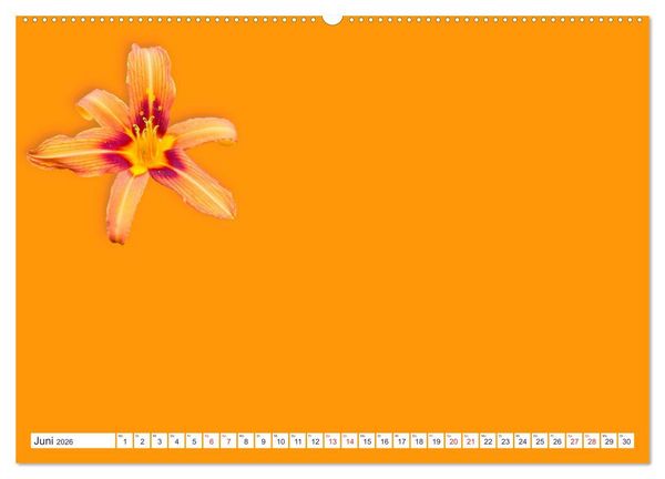 Produktbild: DIY POESIE - BASTELKALENDER (Wandkalender 2026 DIN A2 quer), CALVENDO Monatskalender