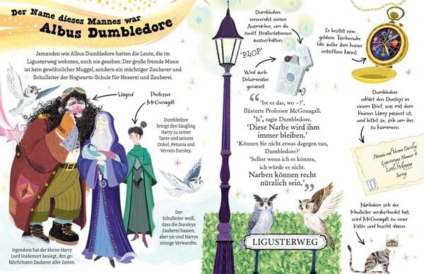 Produktbild: Potter Guides: Professor Dumbledore