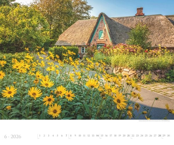 Produktbild: Sylt 2026 - Bildkalender XXL 60x50 cm - hochwertiger Wandkalender im Querformat - Landschaftskalender - Wandplaner - Deutsche Küsten