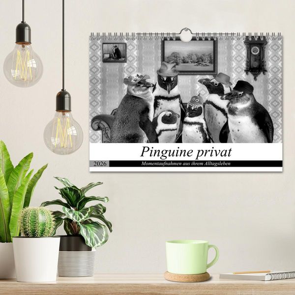 Produktbild: Pinguine privat (Wandkalender 2026 DIN A4 quer), CALVENDO Monatskalender
