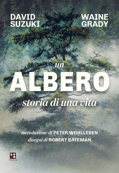 Produktbild: Un albero. Storia di una vita
