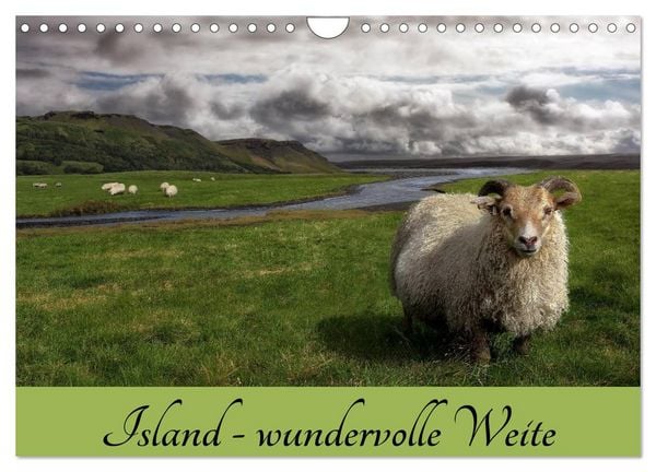 Island - wundervolle Weite (Wandkalender 2026 DIN A4 quer), CALVENDO Monatskalender