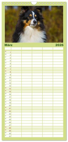 Produktbild: Familienplaner 2026 - Traumhund Sheltie mit 5 Spalten (Wandkalender, 21 x 45 cm) CALVENDO
