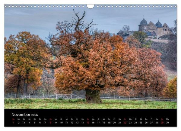 Produktbild: Baum-Variationen (Wandkalender 2026 DIN A3 quer), CALVENDO Monatskalender