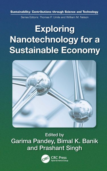 Produktbild: Exploring Nanotechnology for a Sustainable Economy