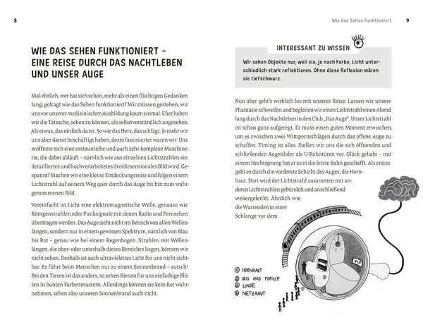 Faszination Auge