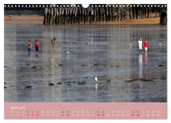 Produktbild: Sillonnez la plage (Calendrier mural 2026 DIN A3 vertical), CALVENDO calendrier mensuel