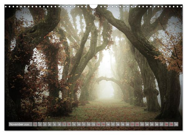 Produktbild: Wundersch&ouml;ne schw&auml;bische Alb (Wandkalender 2026 DIN A3 quer), CALVENDO Monatskalender