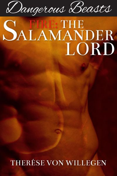 Produktbild: Fire: The Salamander Lord