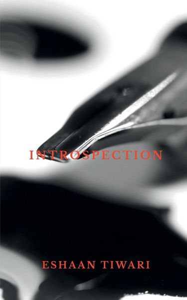 Produktbild: Introspection