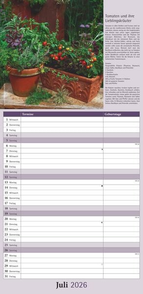 Kräuter & Gewürze 2026 - Streifenkalender 22x45 cm - mit Extraspalte für Geburtstage - Küchentipps und Mondphasen - Wandkalender - Terminplaner