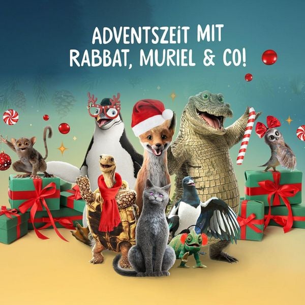 Produktbild: Adventskalender - Die Schule der magischen Tiere - der Film