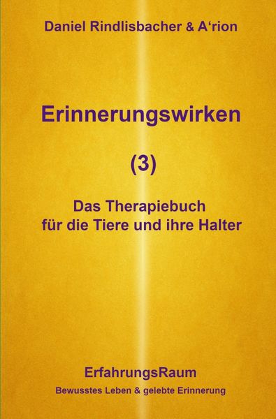 Produktbild: Erinnerungswirken / Erinnerungswirken (3)