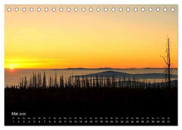 Produktbild: Astrein! - Der Baumkalender 2026 (Tischkalender 2026 DIN A5 quer), CALVENDO Monatskalender
