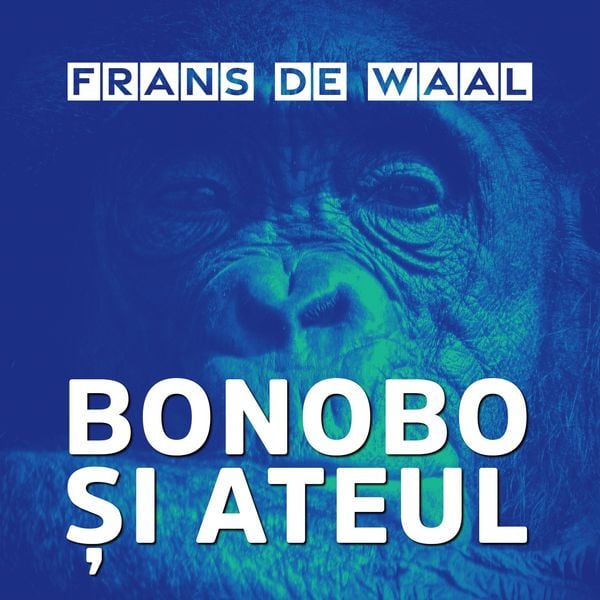 Bonobo i ateul