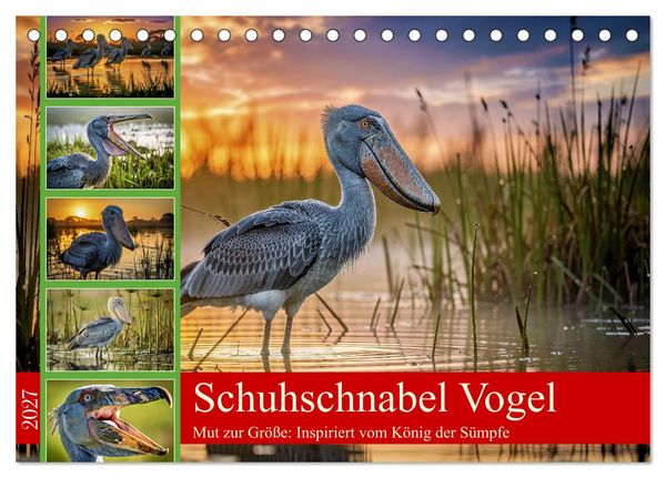 Produktbild: Schuhschnabel Vogel (Tischkalender 2027 DIN A5 quer), CALVENDO Monatskalender