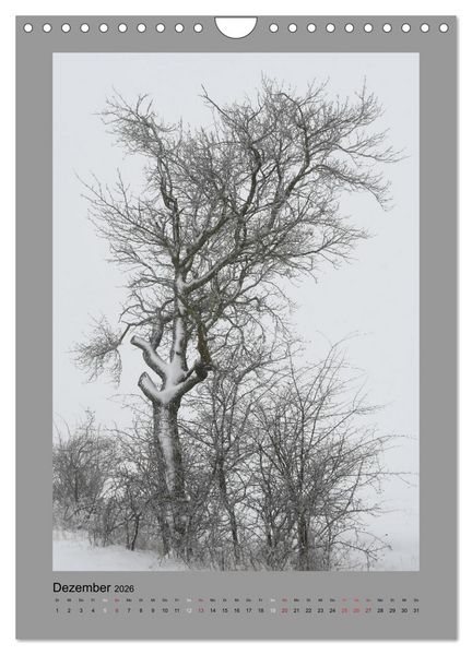 Produktbild: Jahreszeiten (Wandkalender 2026 DIN A4 hoch), CALVENDO Monatskalender