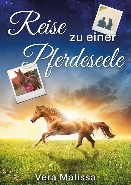 Produktbild: Reise zu einer Pferdeseele