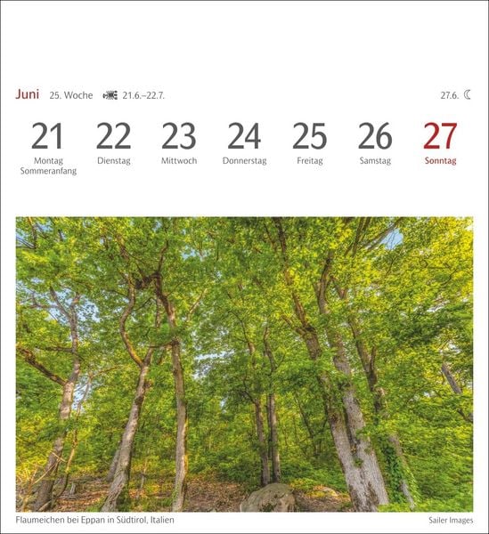 Produktbild: B&auml;ume Postkartenkalender 2027 - Wochenkalender mit 53 Postkarten