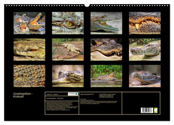 Produktbild: Urzeitreptilien - Krokodil (Wandkalender 2026 DIN A2 quer), CALVENDO Monatskalender