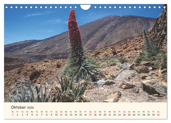 Produktbild: Teneriffa in Bildern (Wandkalender 2026 DIN A4 quer), CALVENDO Monatskalender