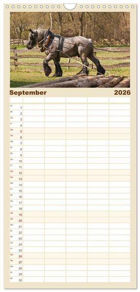 Produktbild: Familienplaner 2026 - Kaltblut - schwere Pferde mit Herz mit 5 Spalten (Wandkalender, 21 x 45 cm) CALVENDO