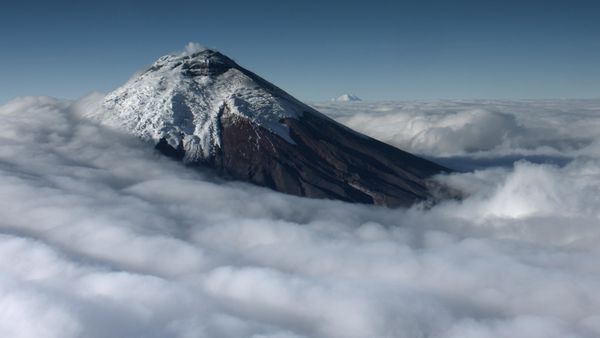 Produktbild: Wilde Anden