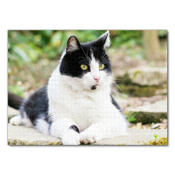 Produktbild: Lais Puzzle Katze 1000 Teile