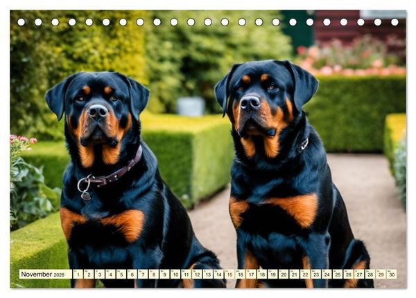 Produktbild: Molosser - Gigantischer Kuschelfaktor (Tischkalender 2026 DIN A5 quer), CALVENDO Monatskalender